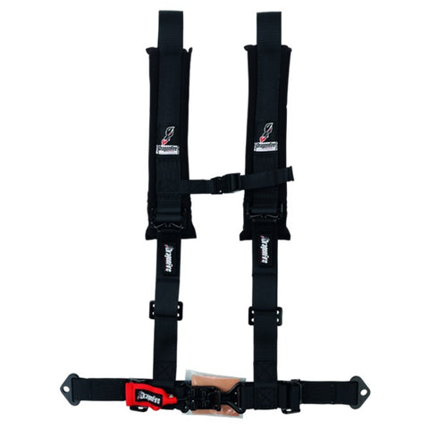 DragonFire Racing Youth Seat Belt Harness - 2 Inch