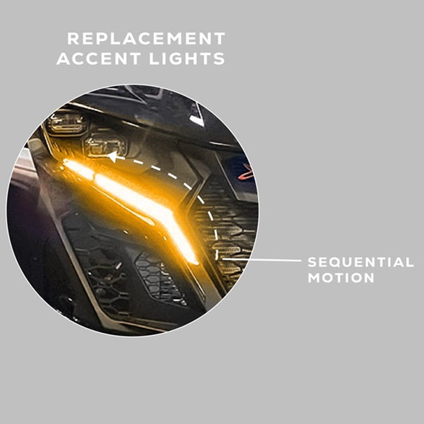 
                  
                    WD Electronics Sequential Signature Light
                  
                