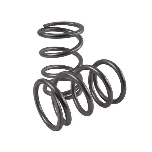 High Lifter Edition Polaris RZR XP 4 1000 Rear Tender Springs