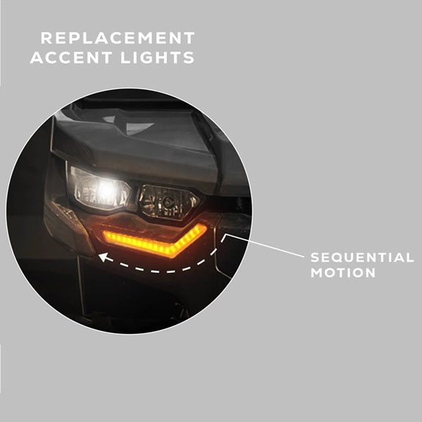 
                  
                    WD Electronics Signature Light On
                  
                