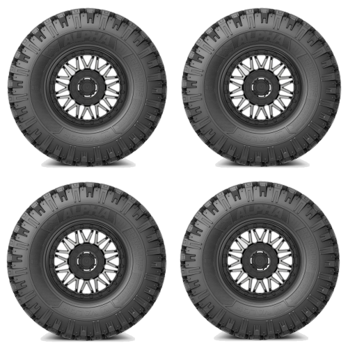 
                  
                    VALOR Alpha Tire & Wheel Kits V08 DT
                  
                