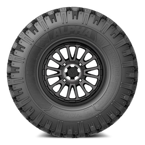 
                  
                    VALOR Alpha Tire Wheel Kits on V14 Dark Tint Wheels
                  
                