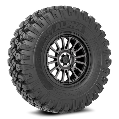 VALOR Alpha Tire & Wheel Kits V14 Dark Tint Wheels