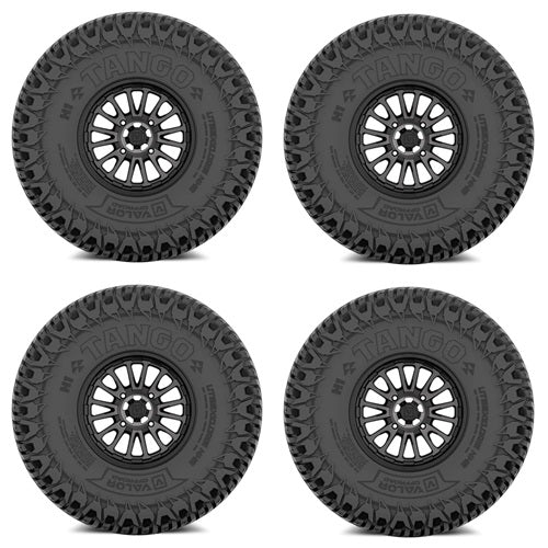 
                  
                    VALOR Tango Tire & Wheel Kits V14 Dark Tint
                  
                